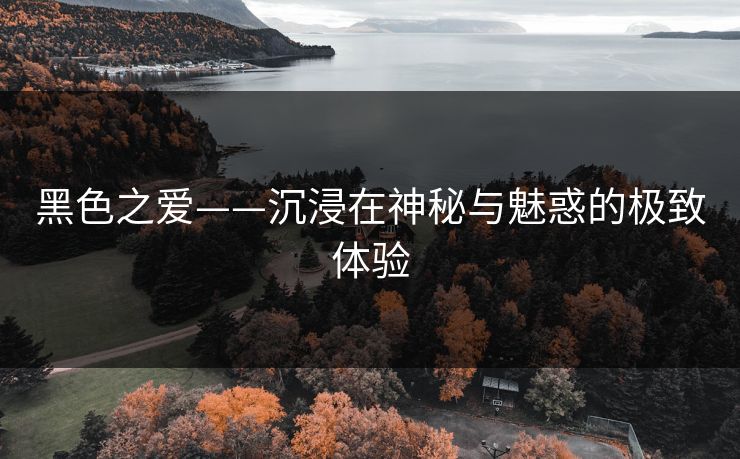 黑色之爱——沉浸在神秘与魅惑的极致体验