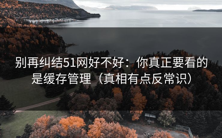 别再纠结51网好不好：你真正要看的是缓存管理（真相有点反常识）