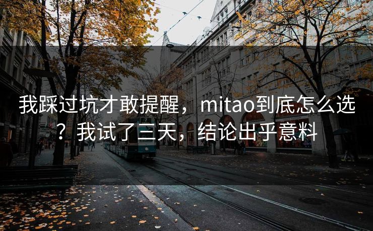 我踩过坑才敢提醒，mitao到底怎么选？我试了三天，结论出乎意料