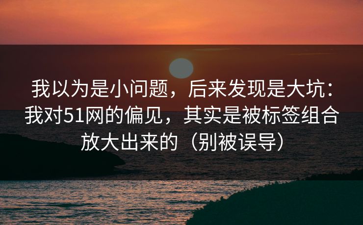 我以为是小问题，后来发现是大坑：我对51网的偏见，其实是被标签组合放大出来的（别被误导）
