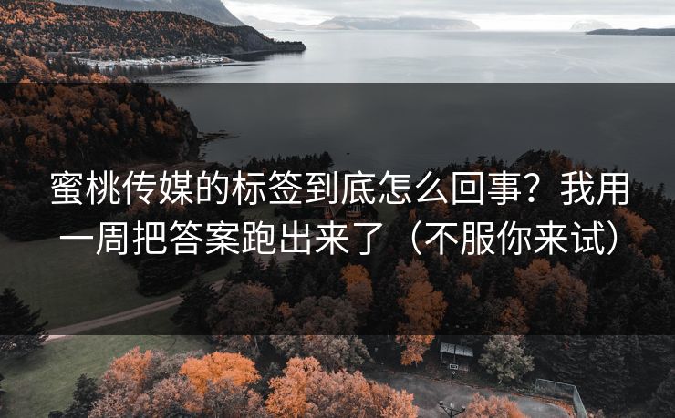 蜜桃传媒的标签到底怎么回事？我用一周把答案跑出来了（不服你来试）
